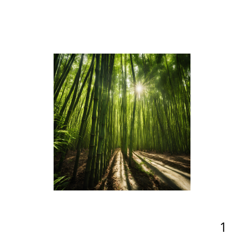 Brosse à barbe en poils de sanglier